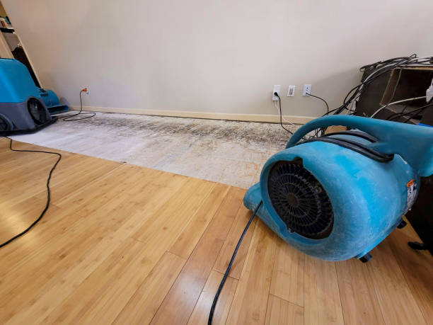 Professional Flood Damage Cleanup technician working in Ellison Bay, WI